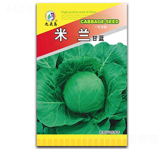 ���m���{(l��n)-���{(l��n)�N��-���^�B