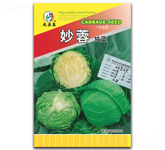 ���ظ��{(l��n)-���{(l��n)�N��-���^�B