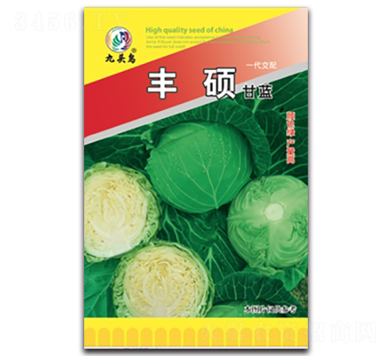 豐碩甘藍(lán)-甘藍(lán)種子-九頭鳥(niǎo)