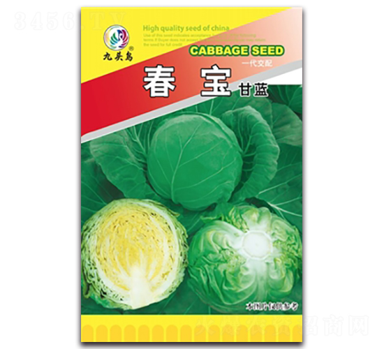 �������{(l��n)-���{(l��n)�N��-���^�B