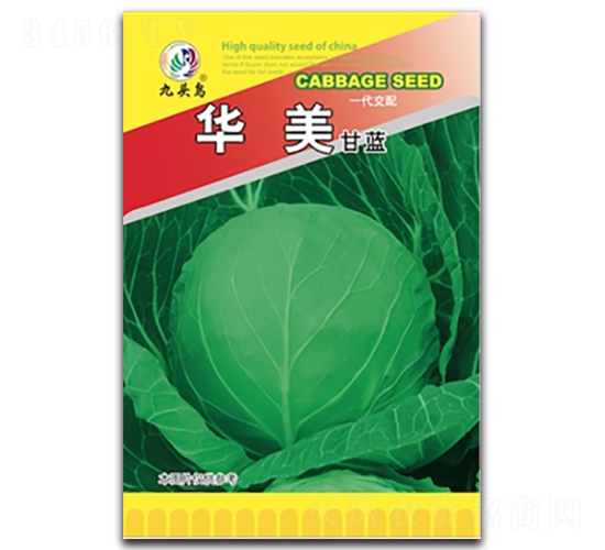 �A�����{-���{�N��-���^�B