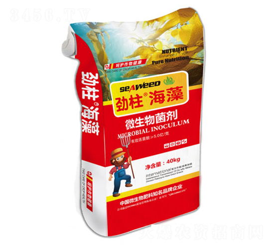 ΢�������-��������-형r(sh��)�