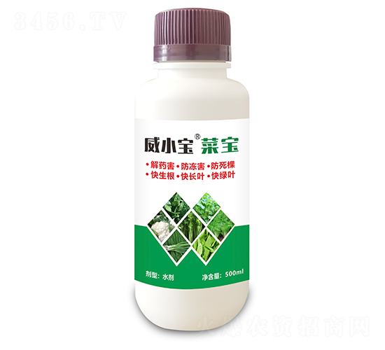 菜寶-威小寶-天宸夢(mèng)