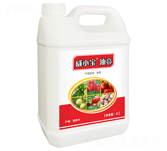 油亮-威小寶-天宸夢