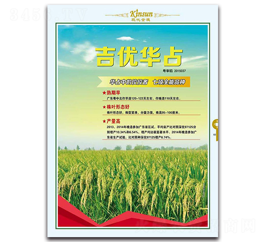 吉優(yōu)華占-水稻種子-現(xiàn)代金穗