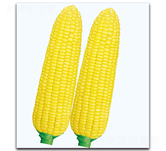 �A����1̖(h��o)����-�����׷N��-�F(xi��n)������