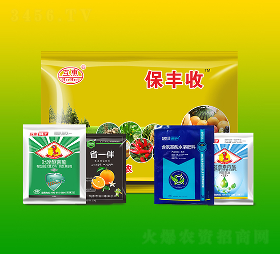 �I�B(y��ng)�����ײ�-���S��-����