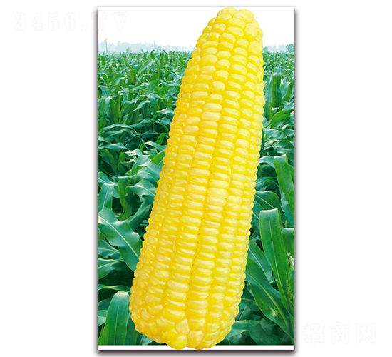 �fŴ2018-Ŵ���׷N��-�A��N�I(y��)