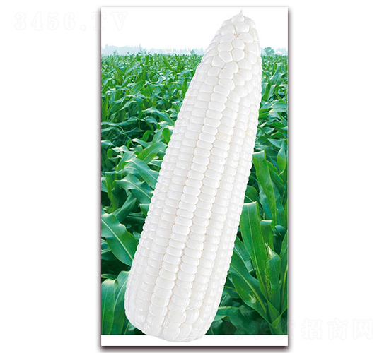 �fŴ2013-Ŵ���׷N��-�A��N�I(y��)