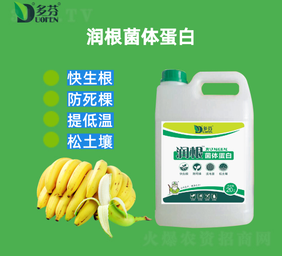 �������w����-����r(n��ng)�I(y��)