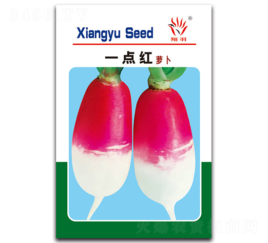 һ�c�t�}��-�}���N��-���ܷN�I(y��)