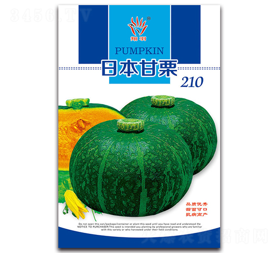日本甘粟210-南瓜種子-京密種業(yè)