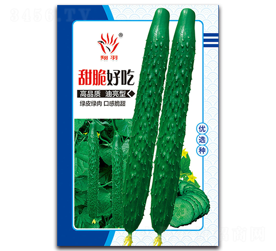 甜脆好吃-黃瓜種子-京密種業(yè)