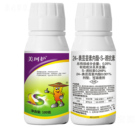 24���|̦�؃�(n��i)����S-�T���أ�100�ˣ�-�����o-���r(n��ng)����