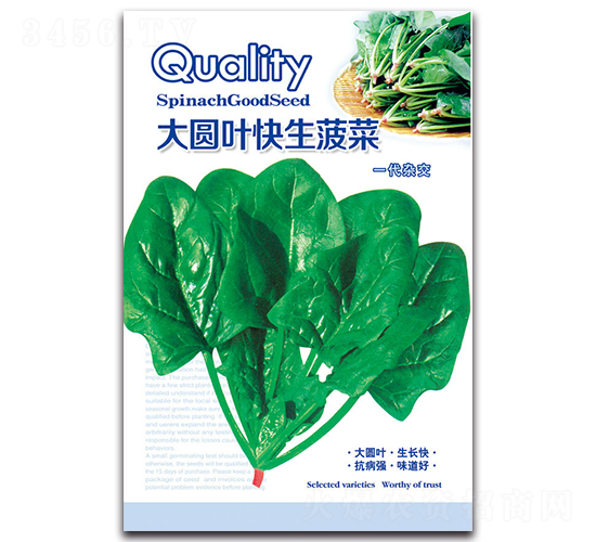 ��A�~��������-���˷N��-���ܷN�I(y��)