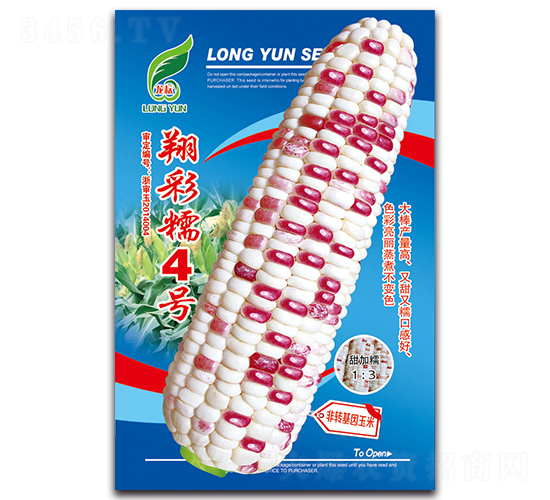 翔彩糯4號-糯玉米種子-京密種業(yè)