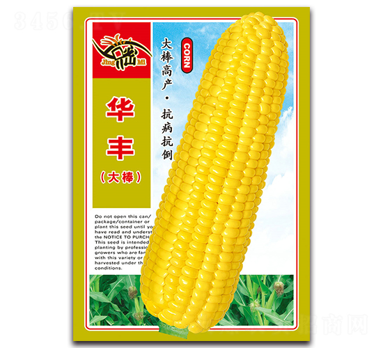 華豐大棒-甜玉米種子-京密種業(yè)