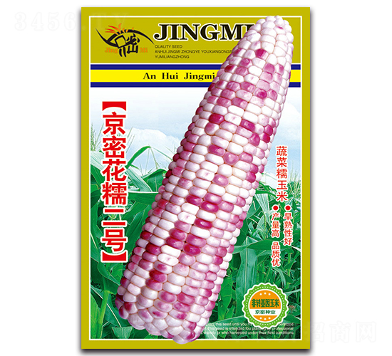 京密花糯二號(hào)-糯玉米種子-京密種業(yè)