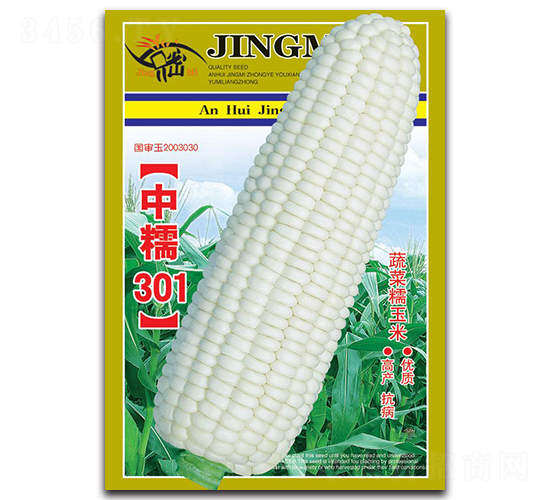 京密中糯301-糯玉米種子-京密種業(yè)