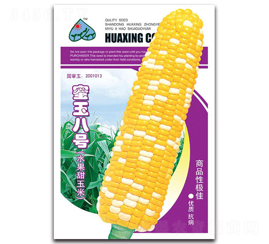 蜜玉八號-水果甜玉米種子-京密種業(yè)