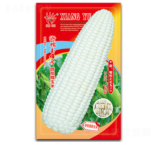 翔羽浙糯玉4號-糯玉米種子-京密種業(yè)