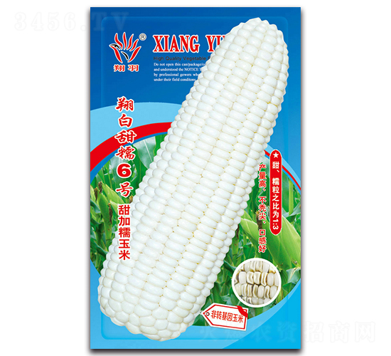 �����Ŵ6̖-Ŵ���׷N��-���ܷN�I(y��)