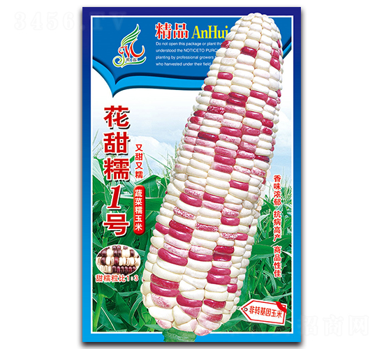 花甜糯1號(hào)-糯玉米種子-京密種業(yè)
