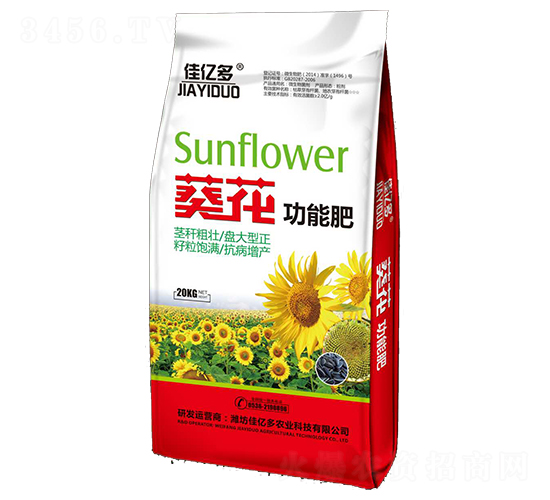 �������ܷ�-�у|��