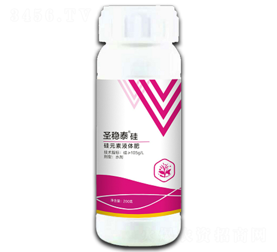 ʥ��(w��n)̩���-����r(n��ng)��