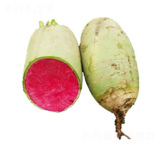 �����}����̖(h��o)-�}���N��-���߷N�I(y��)