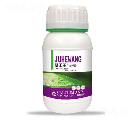 �ۺ��V-�ۺ���-����Ȼ