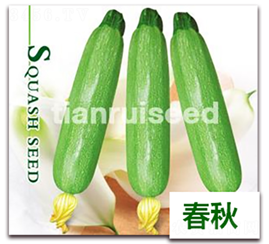 ����-�����J�N��-����N��