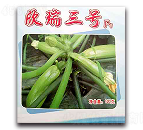 ������̖-�����J�N��-����N��