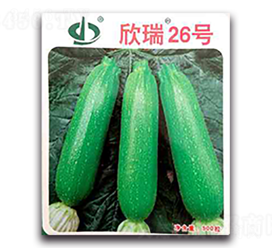 ����26̖-�����J�N��-����N��