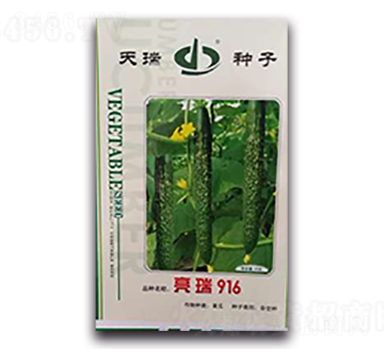 ����916-�S�ϷN��-����N��