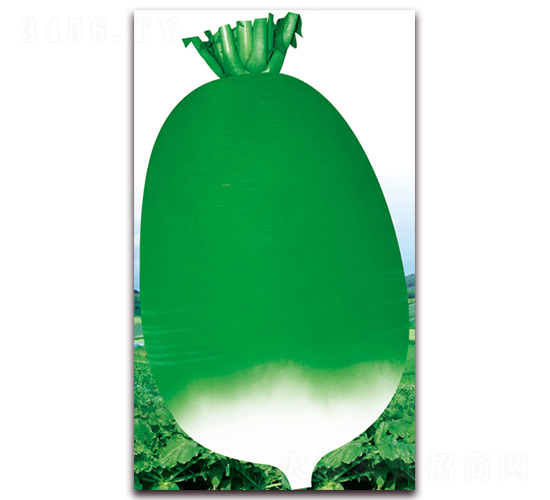 �¿�791-�}���N��-��ʥ��