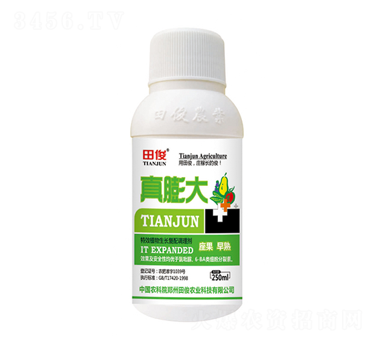 植物生長(zhǎng)復(fù)配調(diào)理劑-真膨大-田俊肥業(yè)