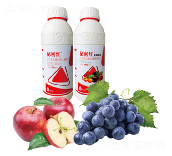 ֲ�����L�{(di��o)��(ji��)��-���ܼtAB�b-���{��