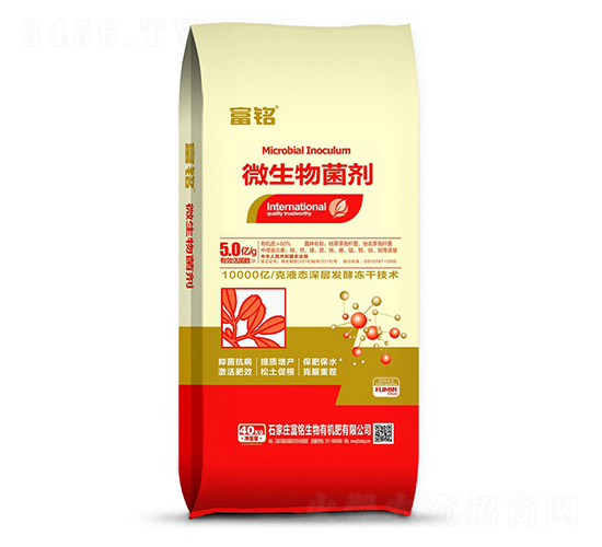 ΢�������-���