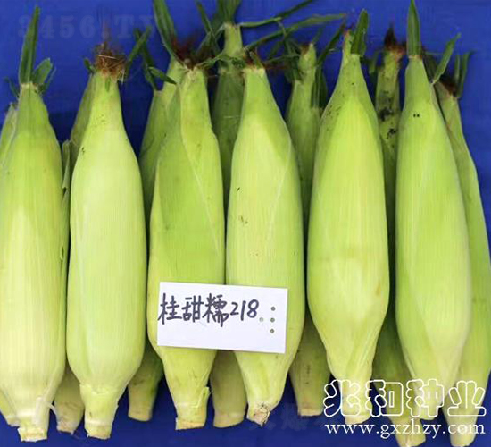 ����Ŵ218-Ŵ���׷N��-�׺ͷN�I(y��)