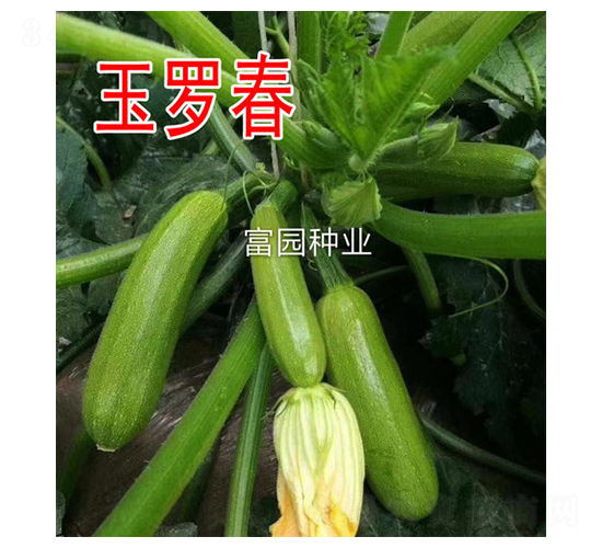 ���_��-�����J�N��-���@�N�I(y��)