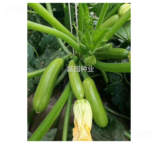 ����303-�����J�N��-���@�N�I(y��)