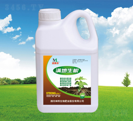 �M������Ͱ��-�������