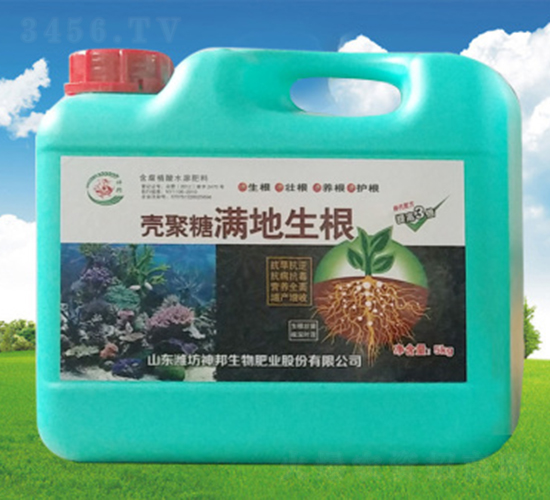 �����ǝM������-�������