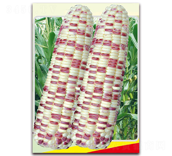 ��ǻ�Ŵ-Ŵ���׷N��-�L���N��