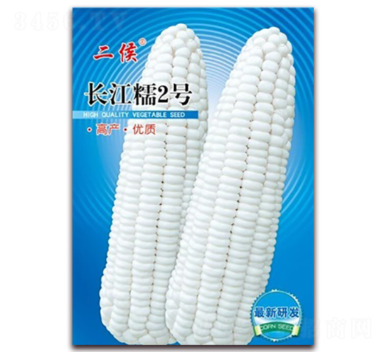 100g長江糯2號-糯玉米種子-長江種子