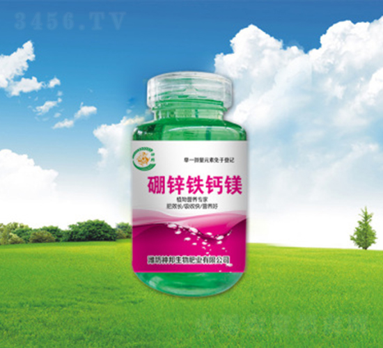 ���\�F�}�V-�������