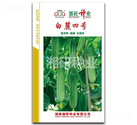 ��´��̖-�S�ϷN��-���зN�I(y��)