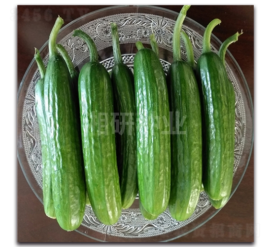 ����ˮ���S��-�S�ϷN��-���зN�I(y��)