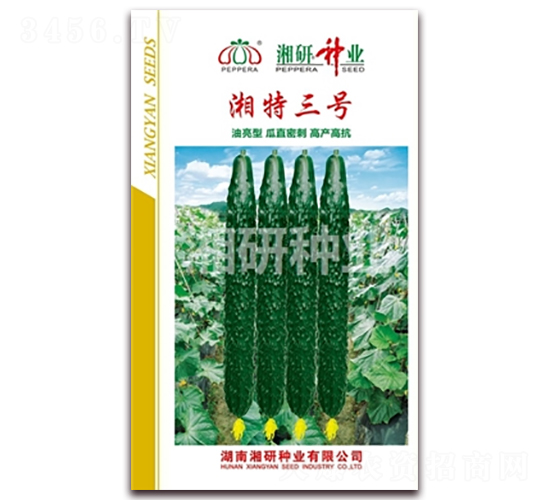 ������̖-�S�ϷN��-���зN�I(y��)